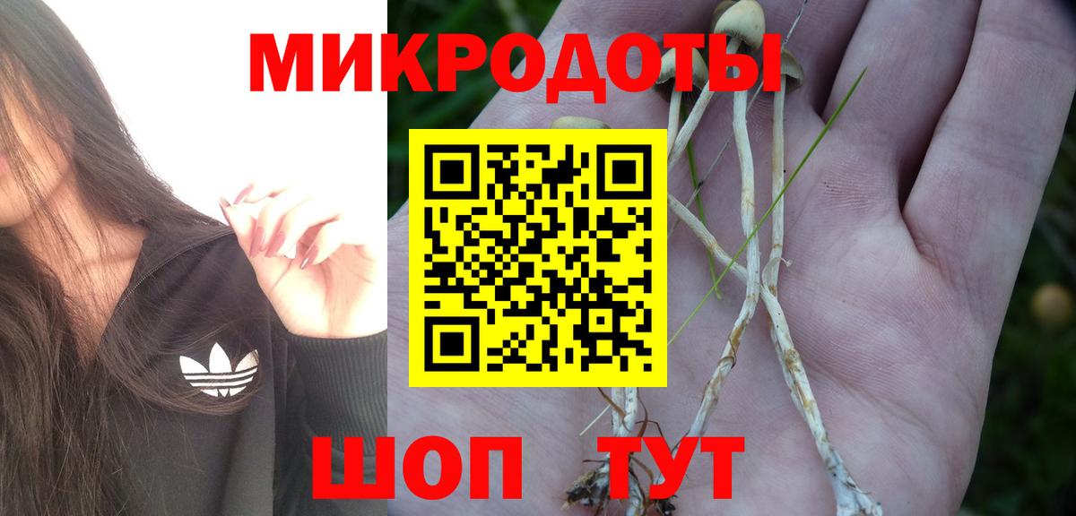 Галлюциногенные грибы прущие грибы  Галлюциногенные грибы Cubensis  Вход с VPN  купить  цена  Ирбит 