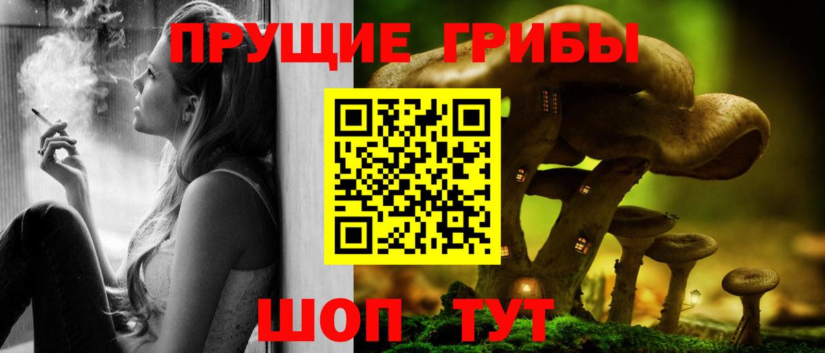Псилоцибиновые грибы мицелий Ирбит